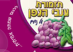 הלוגו של ענבי הגפן של נועם