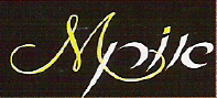 הלוגו של סטודיו אורן