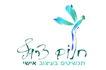 הלוגו של חלום צרוף - תכשיטים בעיצוב אישי