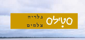 הלוגו של סטילס צלמים