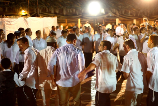 תמונה של להקת קולות - להקות / תזמורות